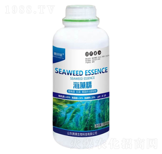 ���徫1000g-�v������