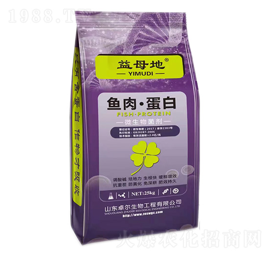 �~�⡤����-��ĸ��-׿������