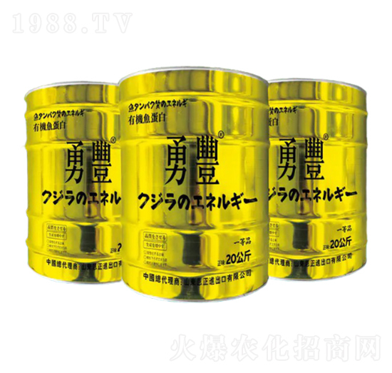 �ЙC�~����-����