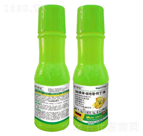 31%���ǲݡ�����¡���ض���-���݃|-�f��