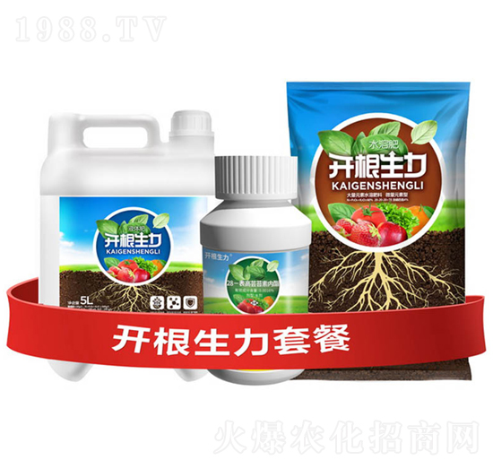 �_�������ײ�F-�ƴ�Ƽ�