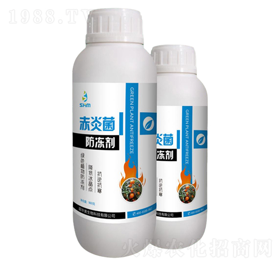 赤炎菌-防凍劑-韶華美