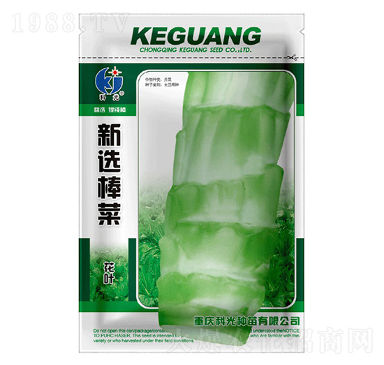 ���x����-�ƹ�N��