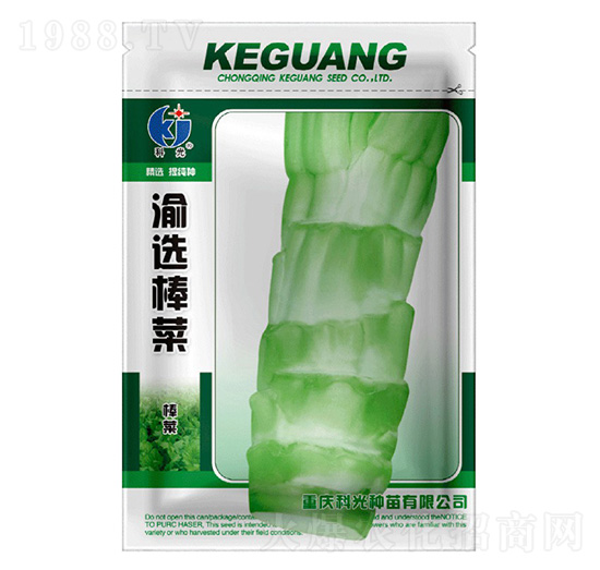 ���x����-�ƹ�N��