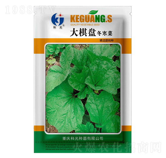 ����P������-�ƹ�N��