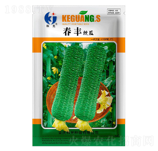 ���S�z��-�ƹ�N��