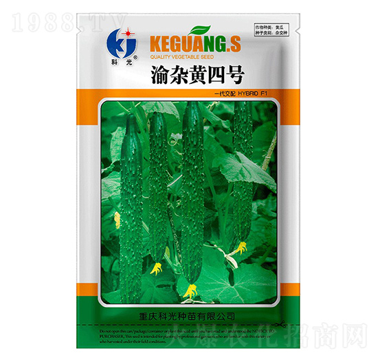 ���s�S4̖-�ƹ�N��