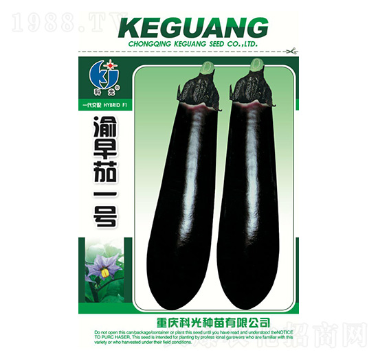 ������1̖(h��o)-�ƹ�N��