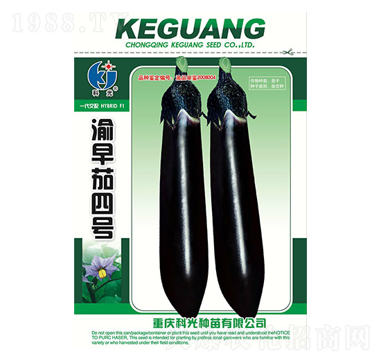 ��������̖-�ƹ�N��