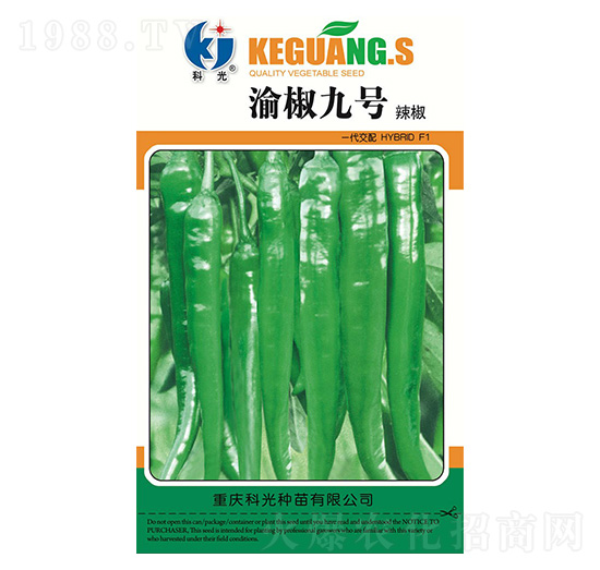 �彷9̖(h��o)-�ƹ�N��