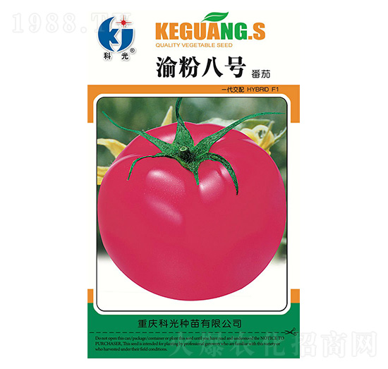 ���8̖(h��o)-�ƹ�N��