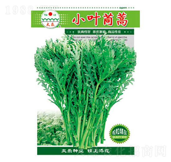 茼蒿種子-小葉茼蒿-太樂種業(yè)