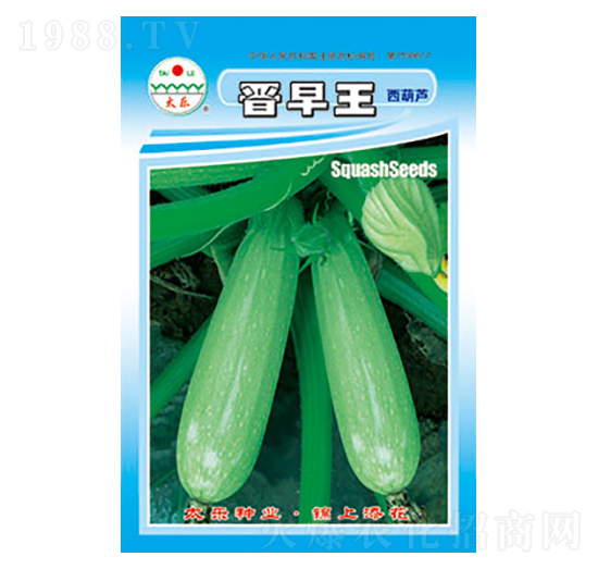 西葫蘆種子-晉早王-太樂種業(yè)