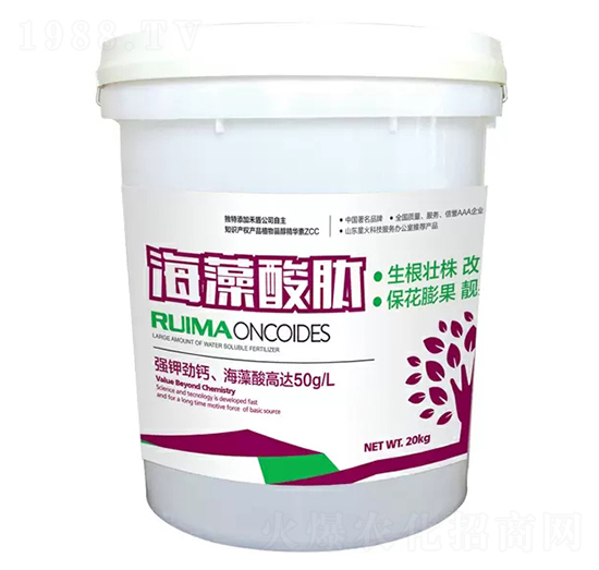 �������ě_ʩ��-�̶�����