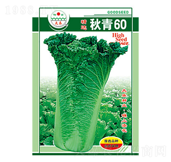 �ײ˷N��-����60-̫���N�I(y��)