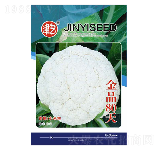 花菜種子-金品80天-邯豐農(nóng)業(yè)