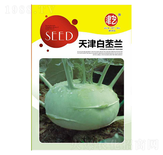 苤藍(lán)種子-天津白苤藍(lán)-邯豐農(nóng)業(yè)