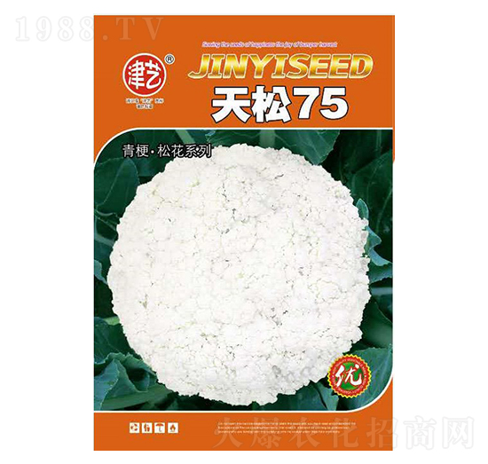 ���˷N��-����75-���S�r�I(y��)