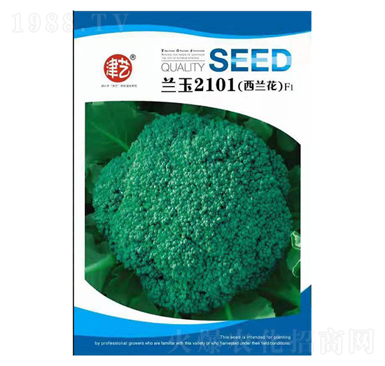 西蘭花種子-藍(lán)玉2101-邯豐農(nóng)業(yè)