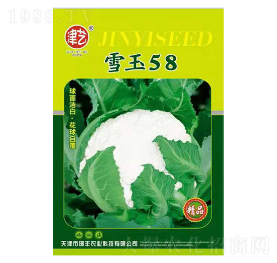 花菜種子-雪玉58-邯豐農(nóng)業(yè)
