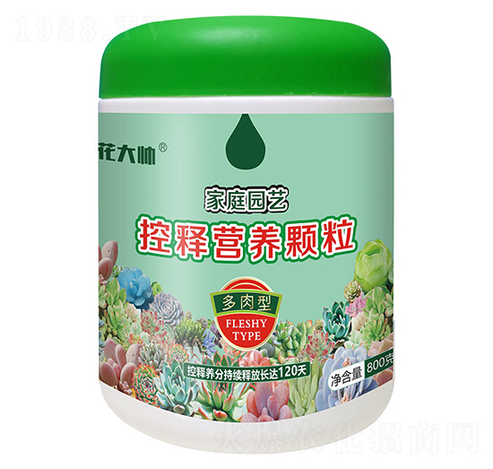 800�˶����ͼ�ͥ�@ˇ��ጠI�B(y��ng)�w��-����-�G�ַʘI(y��)