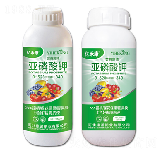 �|̦�߼��������0-528-340-�|�̿�-���Z�ʘI(y��)