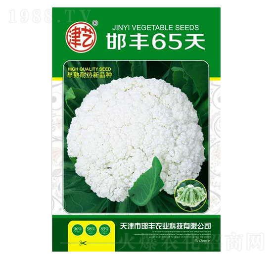 花菜種子-邯豐65天-邯豐農(nóng)業(yè)