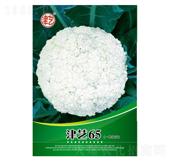 花菜種子-津藝65-邯豐農(nóng)業(yè)