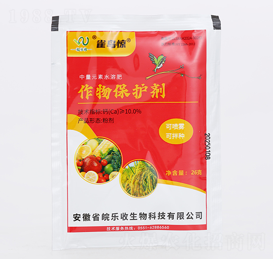 ���ﱣ�o(h��)��-ȸ�B(ni��o)�@-�(l��)������