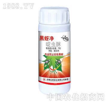 �˰�-������