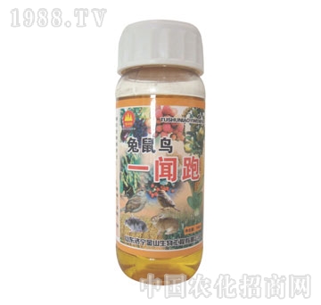 金山生物-兔鼠鳥一聞跑