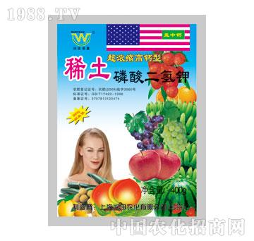 ����-ϡ����������