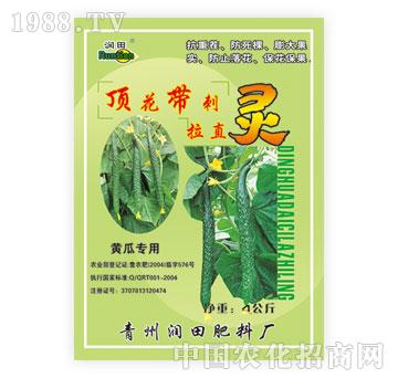 ����-픻�������ֱ�`