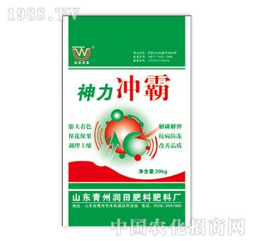 ����-�����_��