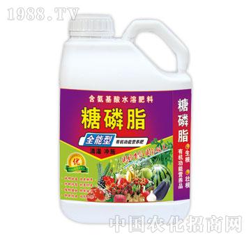 ����-����֬