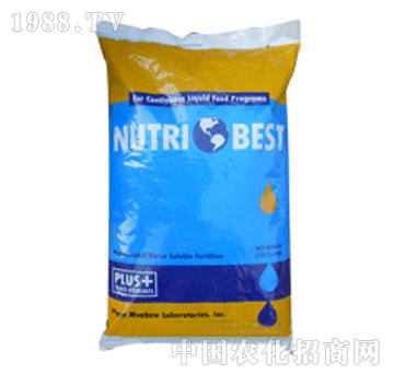 ���֐�ؐ˹��-�R��˹��15-30-15+TE