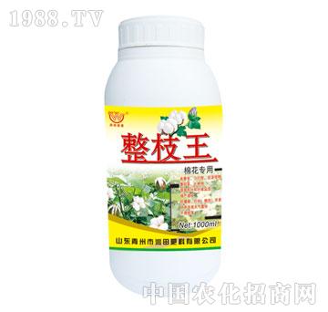 ����-��֦���޻�����