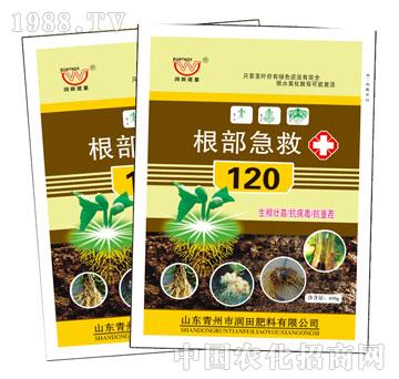 ����-��������120