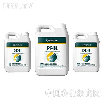 PPH-�~(y��)�����������