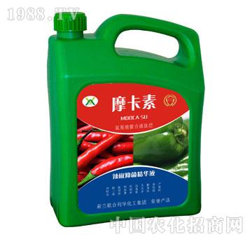 辣椒抑菌精華液-摩卡素-強(qiáng)芯國際