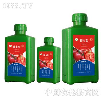 番茄專用氨基酸螯合液肽肥-摩卡素-強(qiáng)芯國際