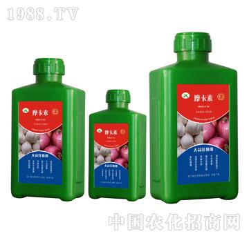 �������[��(zhu��n)�ð���������