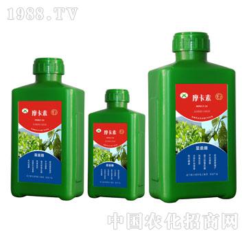 ��ɣ��(zhu��n)�ð���������Һ��