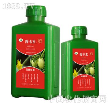 ������������������Һ��