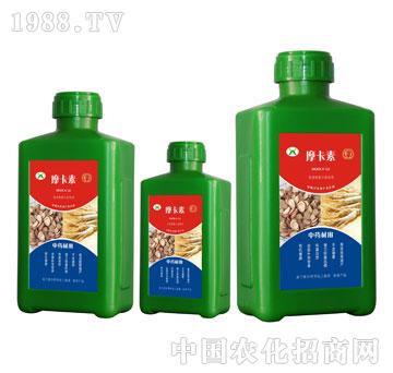 ��ˎ�Č�(zhu��n)�ð���������Һ