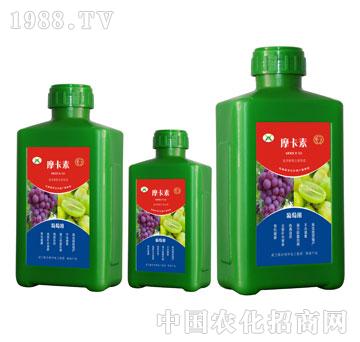 ���ь�(zhu��n)�ð���������Һ��