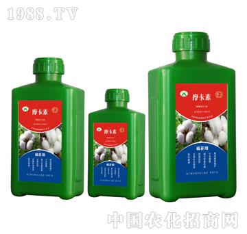 �޻���(zhu��n)�ð���������Һ��