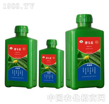 �S�ό�(zhu��n)�ð���������Һ��