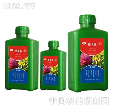 ���܌�(zhu��n)�ð���������Һ��