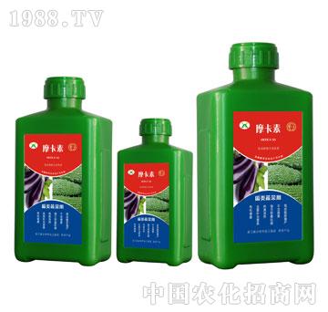 ���(l��i)�߲ˌ�(zhu��n)�ð���������